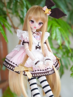 MDD / SDM / KUMAKO【ワンダーワンダーアリスちゃん！クラシックカラー】【Wonder Alice-chan! classic color)】