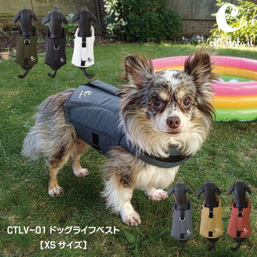 チャッティーテイル ╱chattytail ドッグキャリーバッグ　_L_ chattytail