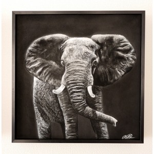 Elephant in Monochrome