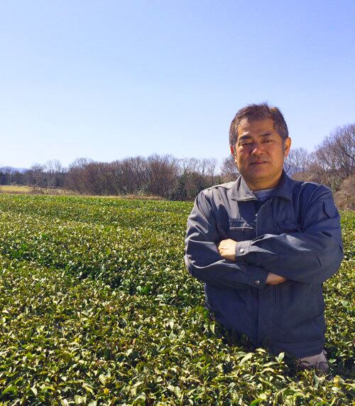 有機栽培 大山みどり 抹茶入白折 80g | 創業享和元年ながた茶店