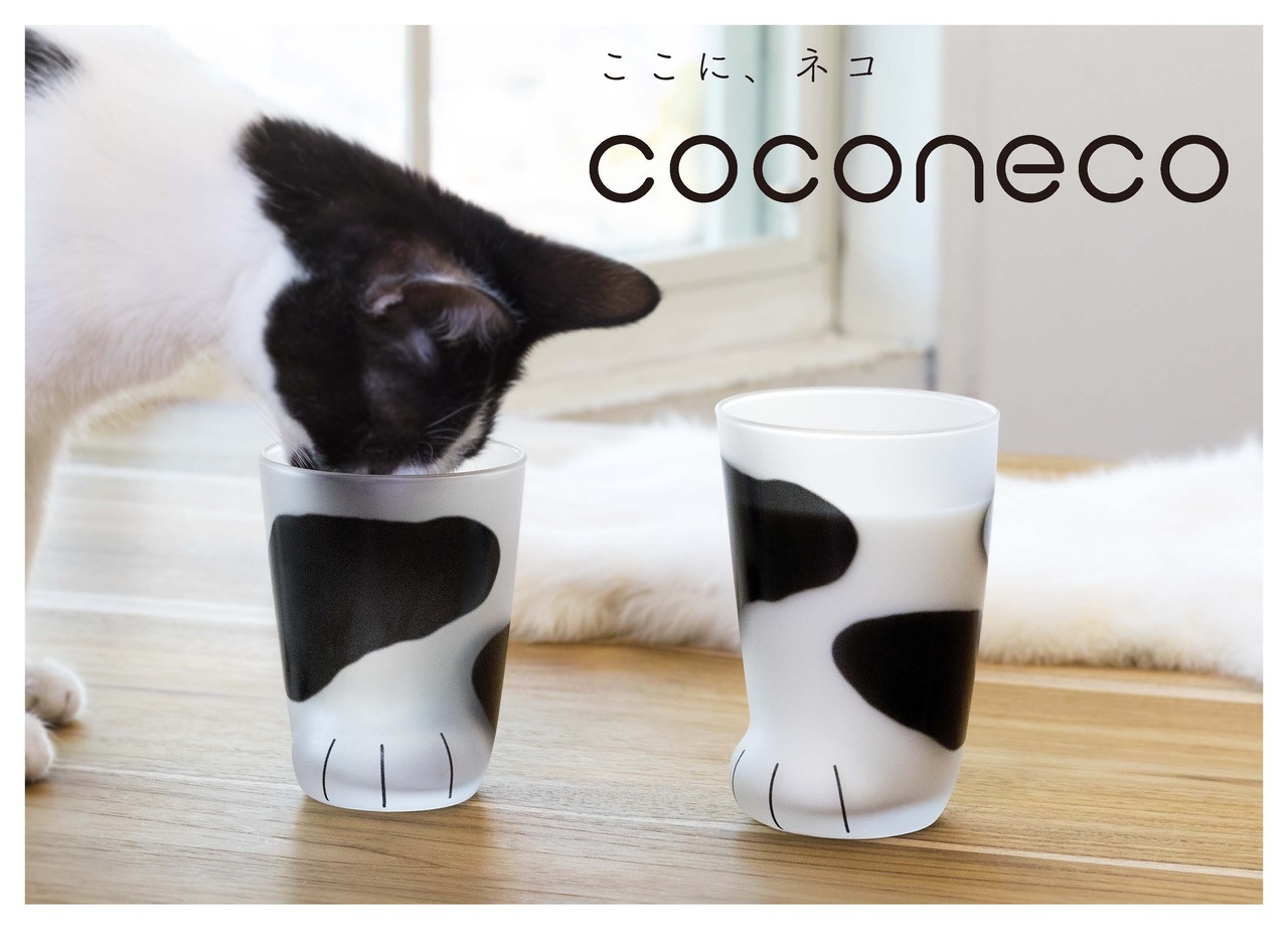 coconeco 親猫 ブチ