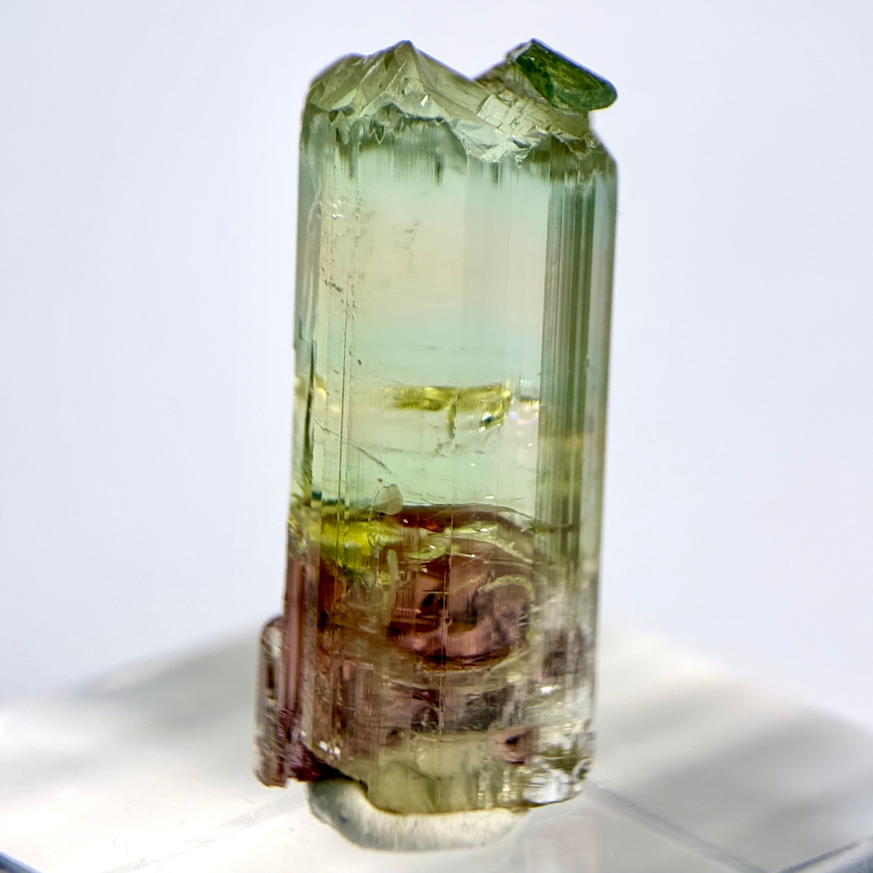 トルマリン | World Minerals 世界中の鉱物原石の販売店