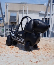 3D MY DOGGY BAG CQ-44549H