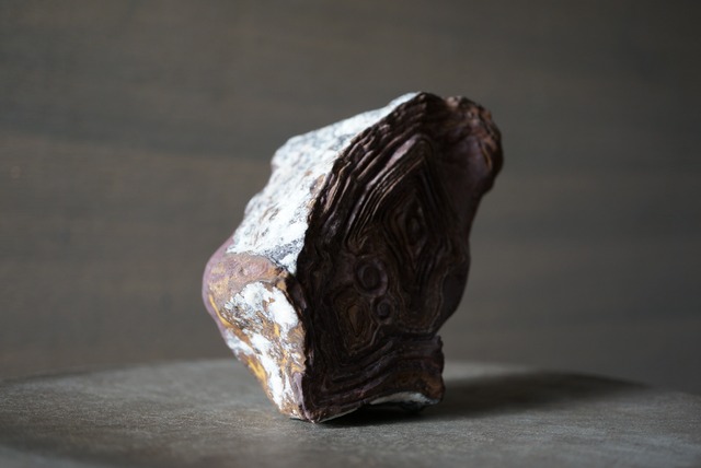 クムル産火山砕屑岩 Volcano-sedimentary Rock 1125