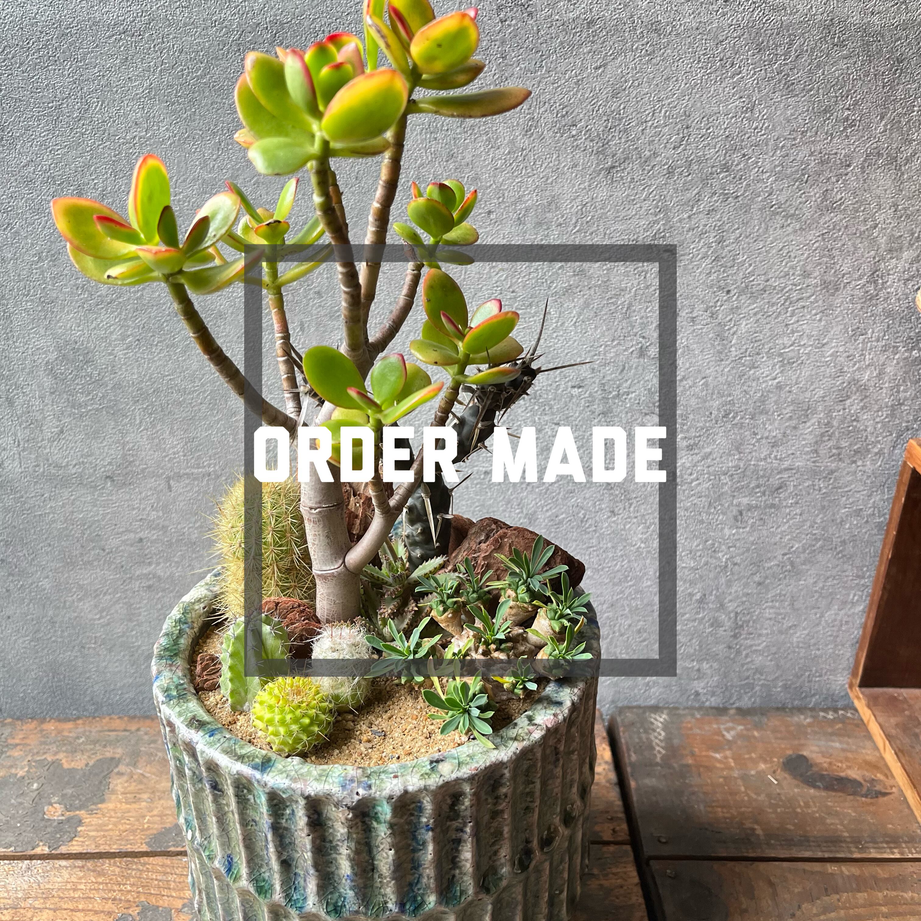 order made H.Cさま専用