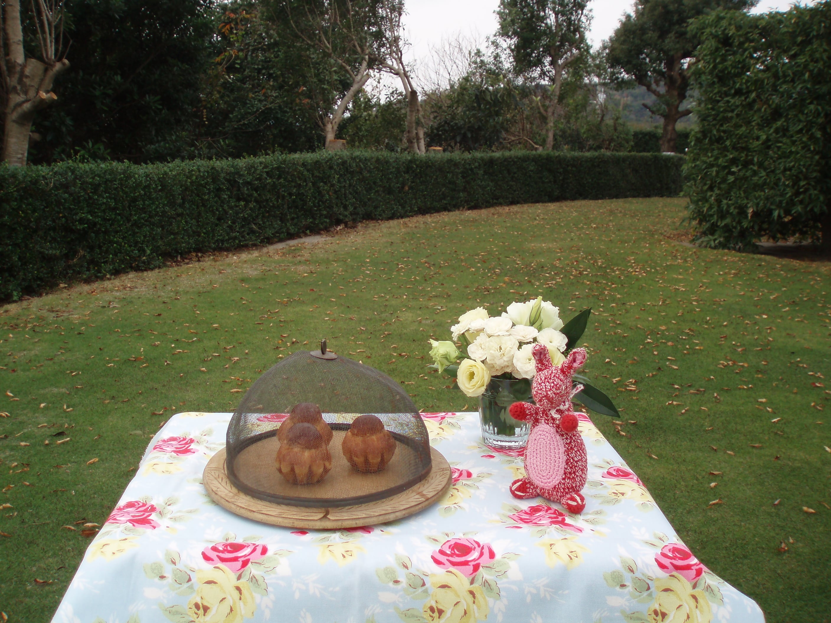 french vintage shabby chic wire food cover フードカバー french vintage shabby chic wire food cover フードカバー
