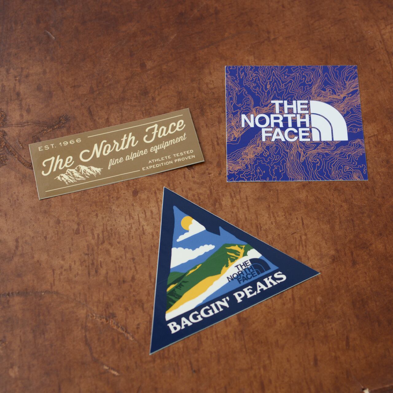 THE NORTH FACE [ザ・ノース・フェイス] TNF Print Sticker [NN32348