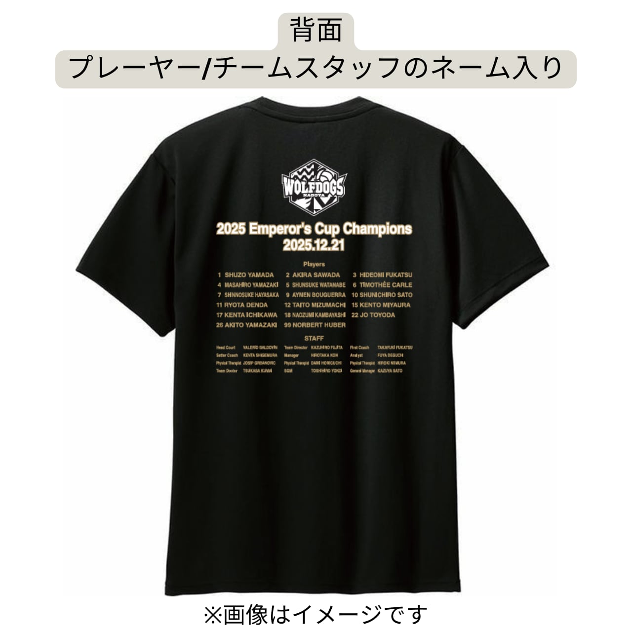 2016年天皇杯Ｔシャツ MIZUNO 天皇杯皇后杯 Tシャツ バレーボール - メルカリ