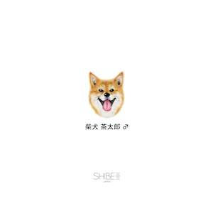 iPhone CASE SHIBE SMILE 専用オリジナルメッセージ