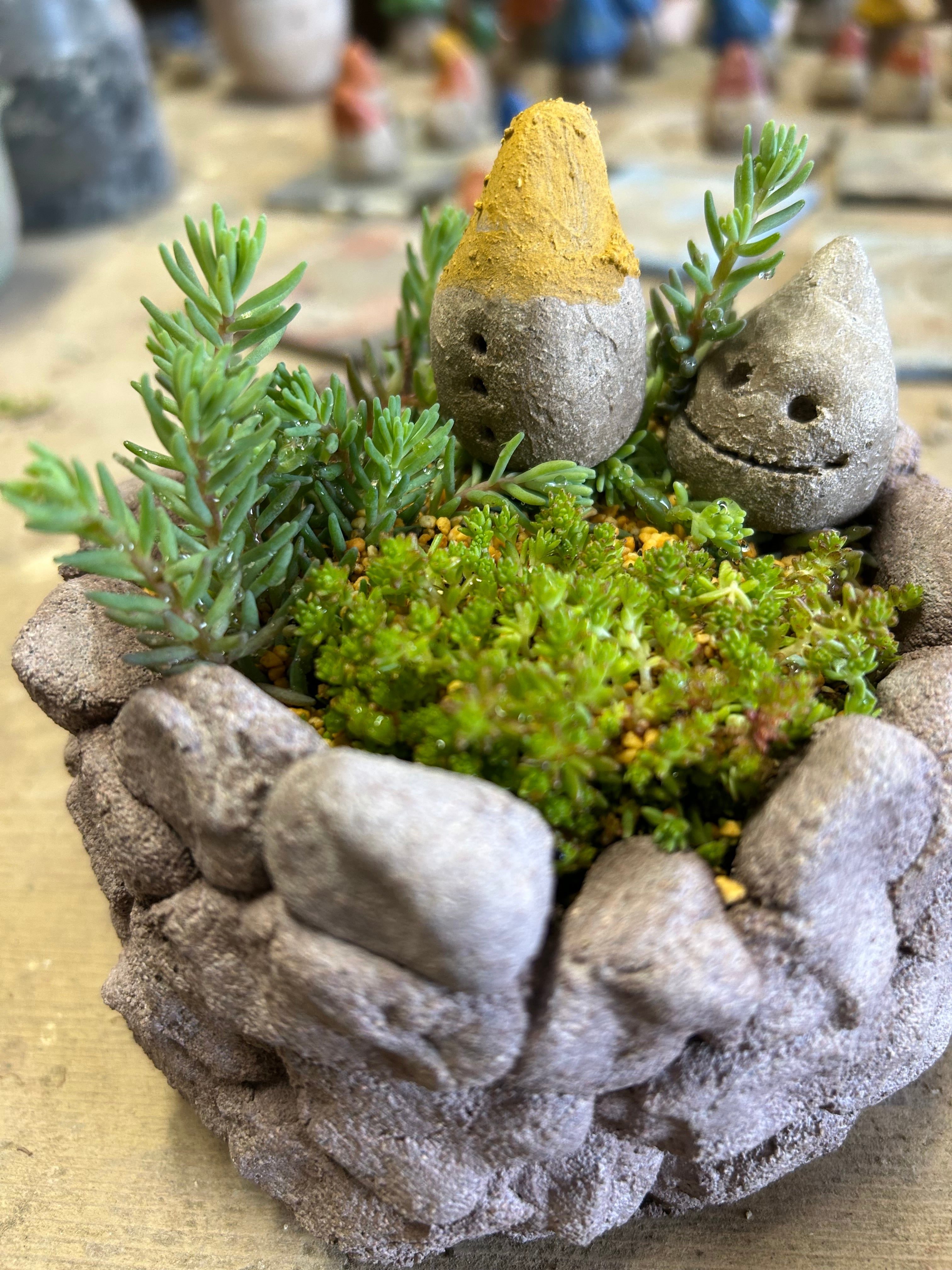 鉢の見張り番 しずくちゃん | 花工房リトルガーデン