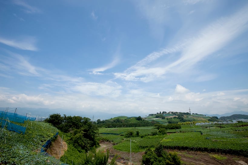 イベント2/14（土）【蒼龍葡萄酒　コラボランチイベント】12:00～