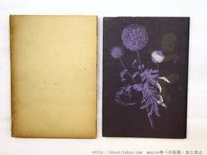 枯れる瑠璃玉　詩集1963-1970　/　堀川正美　　[35249]