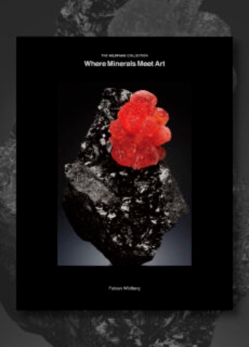 STRAIGHT BOOKS　　"The Wildfang Collection : Where Minerals Meet Art"（書籍）