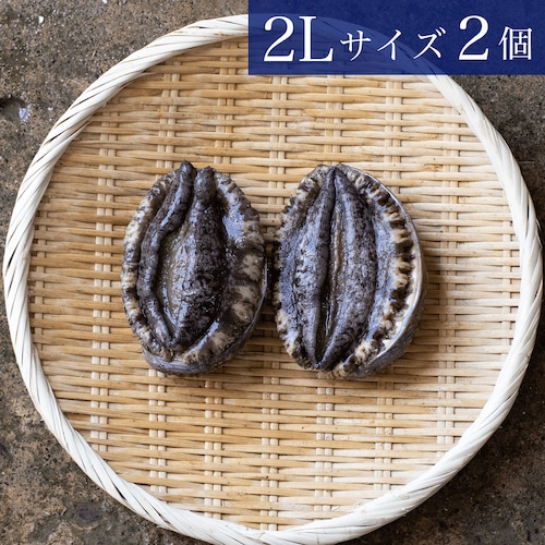 三陸産天然活アワビ2Lサイズ 2個（約500g）