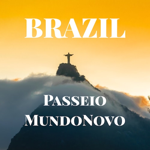ブラジル  パッセイオ ムンドノーボ / BRAZIL  Passeio MundoNovo  【150g】【中深煎り】