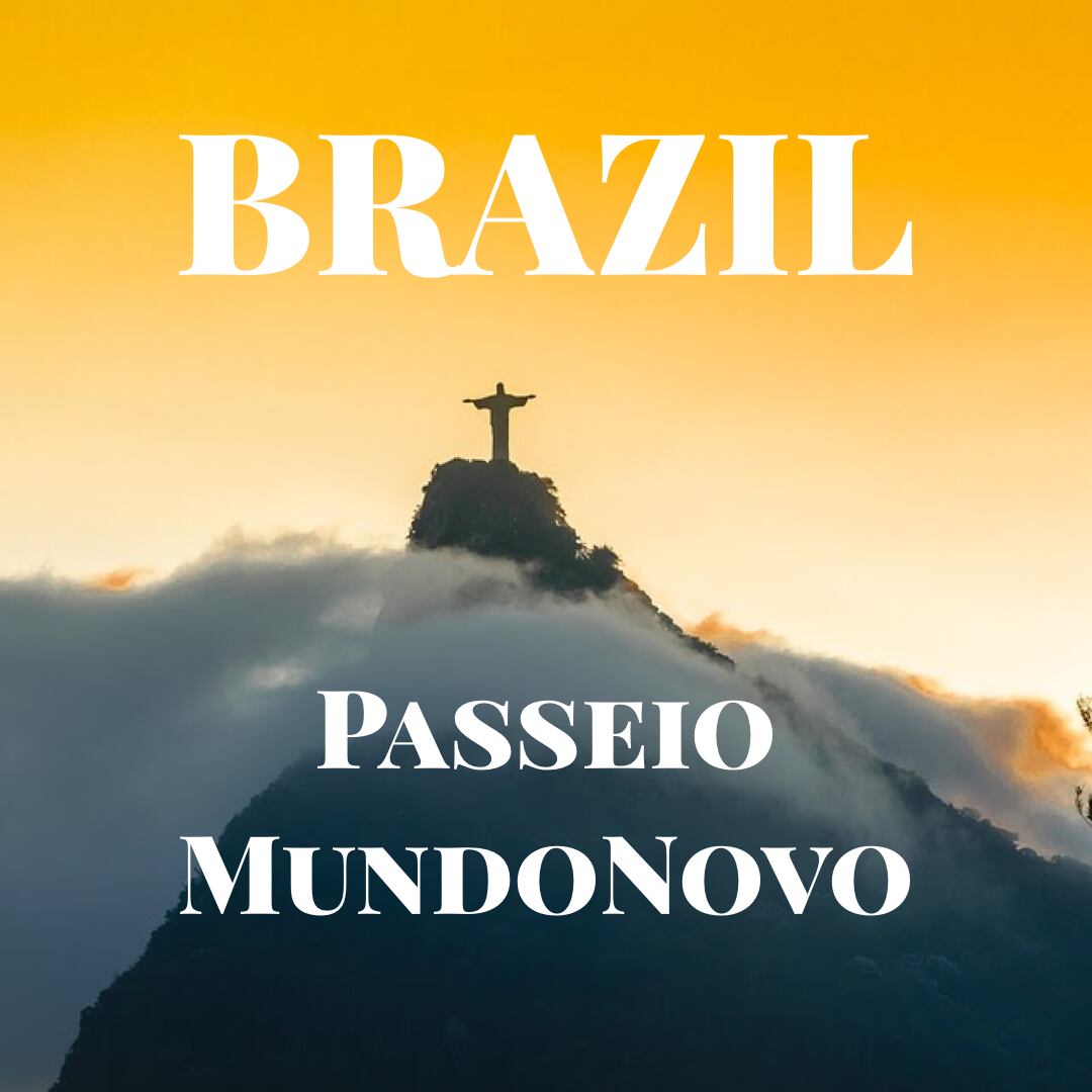 ムンドノーボ　MundoNovo　-WEBSHOP-　BRAZIL　Passeio　ブラジル　マホロバ珈琲堂　パッセイオ　【150g】【中深煎り】