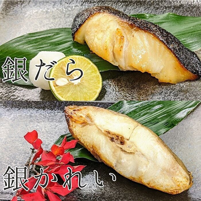 【藤八枚】西京漬け2種8切れ詰め合わせ～藤（ふじ）～
