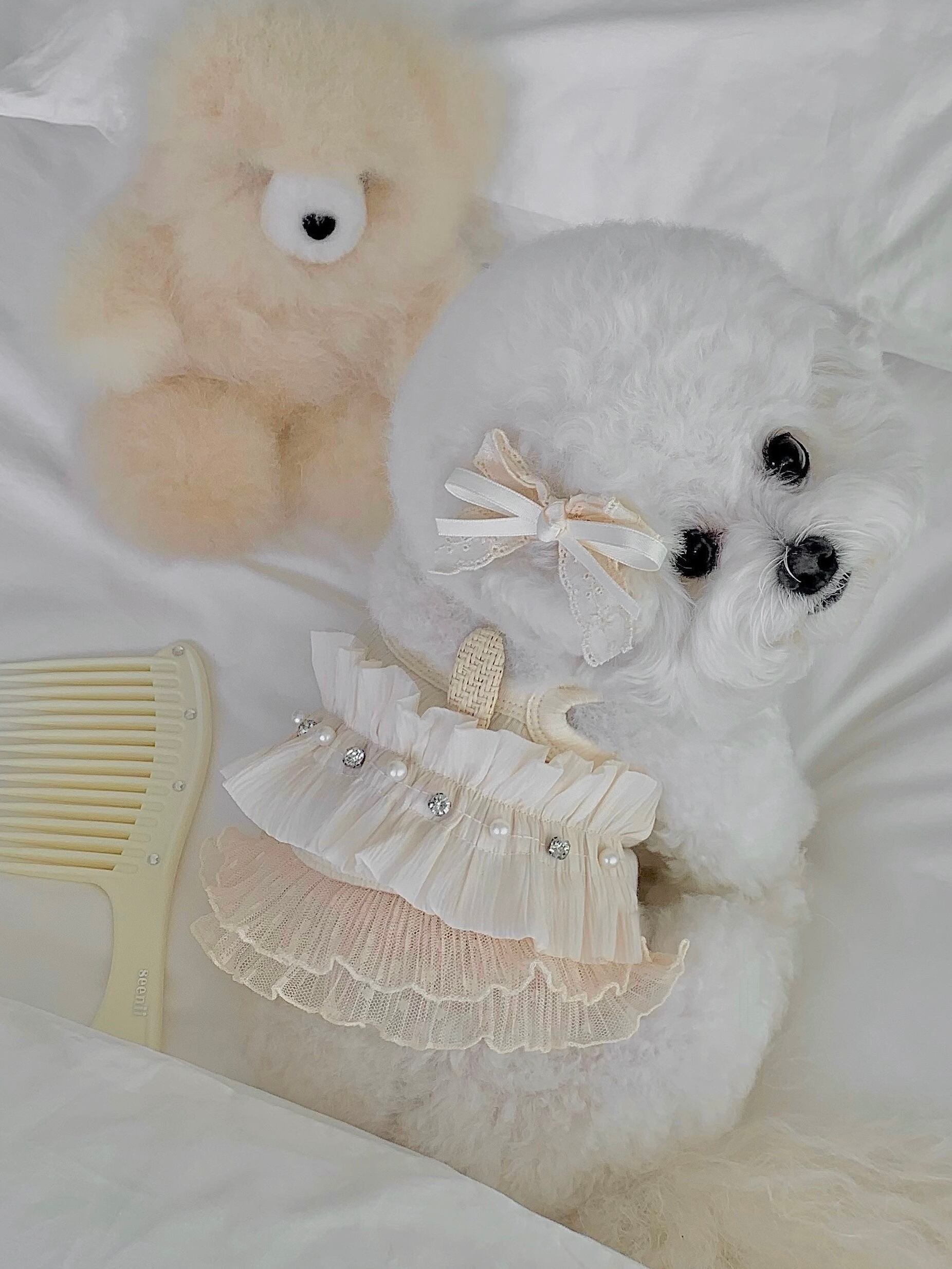 【seenii】SoonSu ops