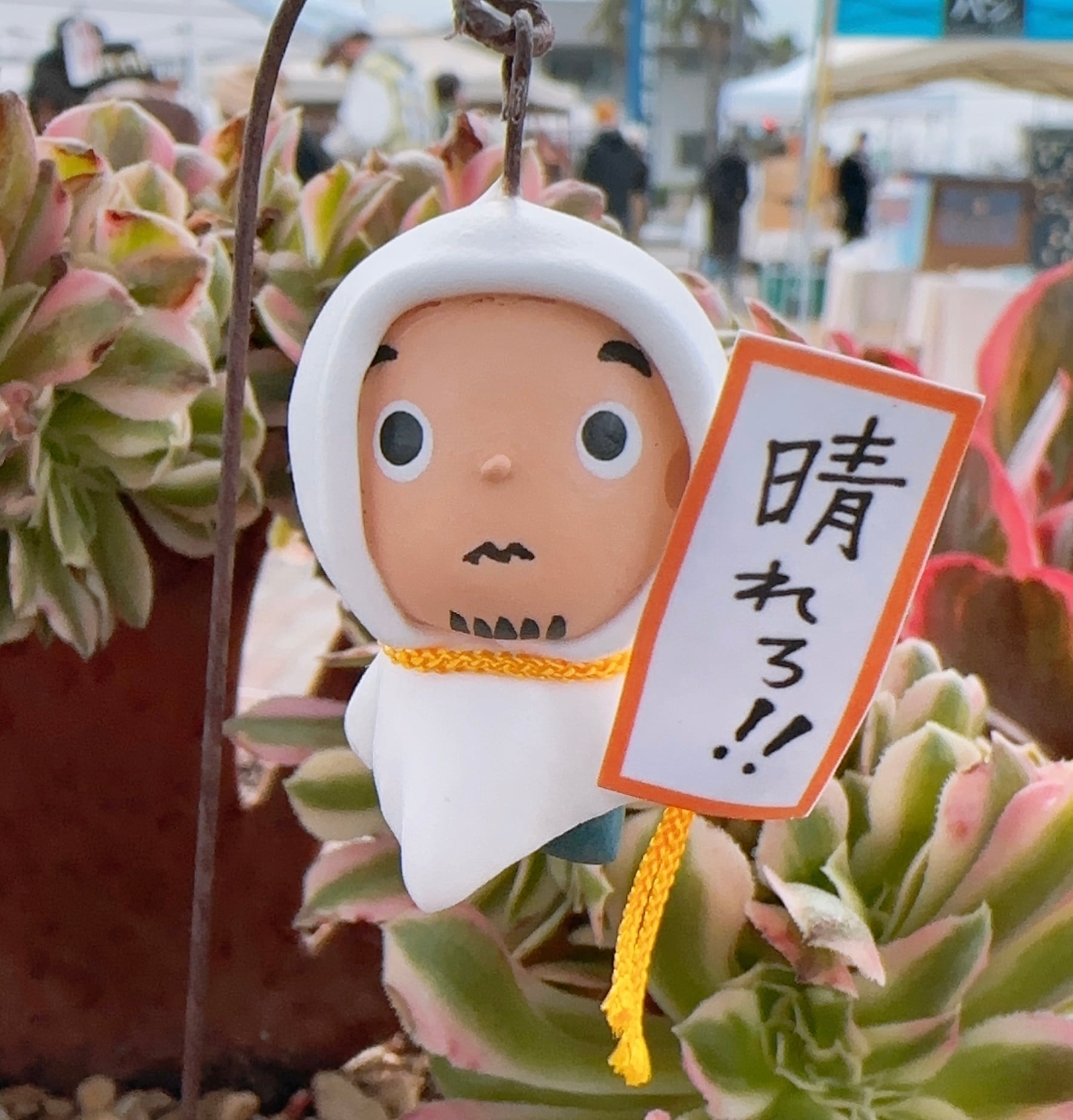 いさちゃんてるてる坊主ピック | 倉敷多肉工房