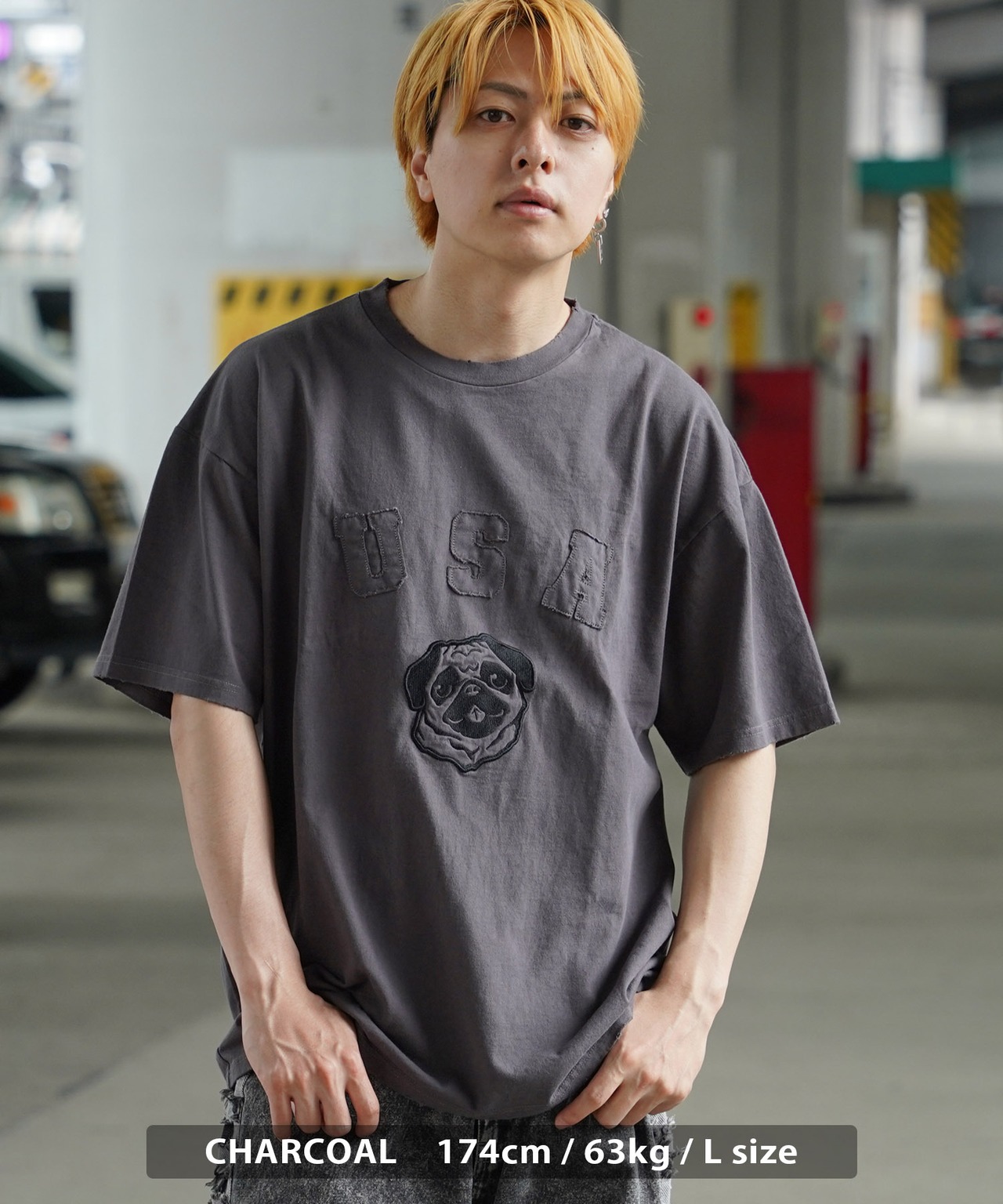 ＼SALE／◆パグ ダメージ Tシャツ◆ef-l02142e