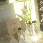 Malena 02 - Lemurian seed crystal / ジェムピラー / Gem Pillar Interior Jewelry