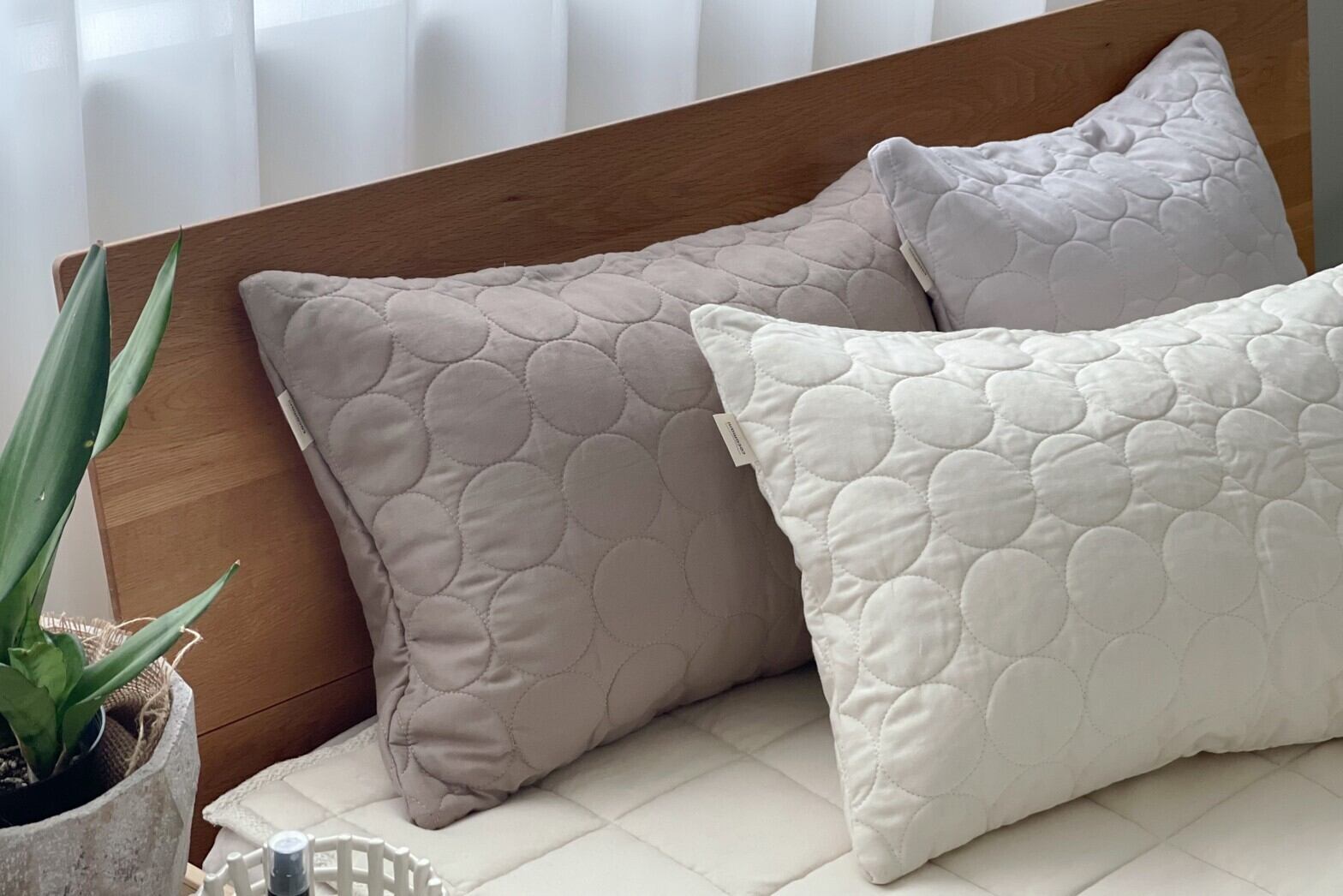 カバー | cocomani