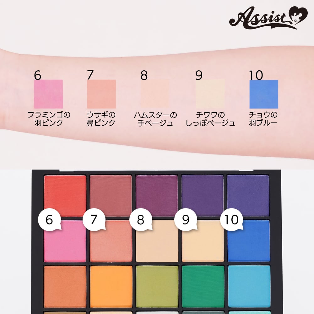 アシストウィッグ【25色メイクアップパレットAS】アシストオリジナル