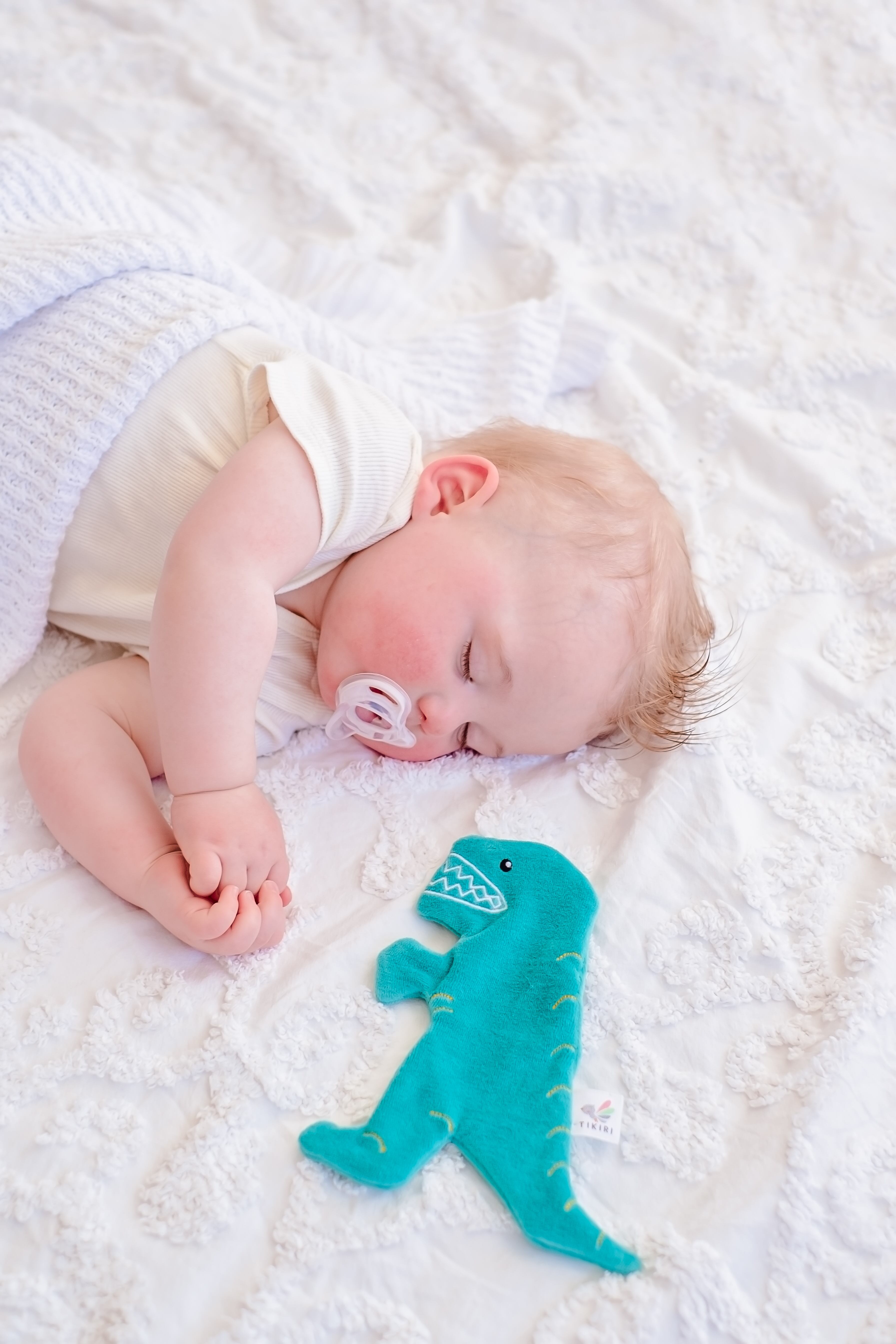 T-Rex with Crinckle_93205