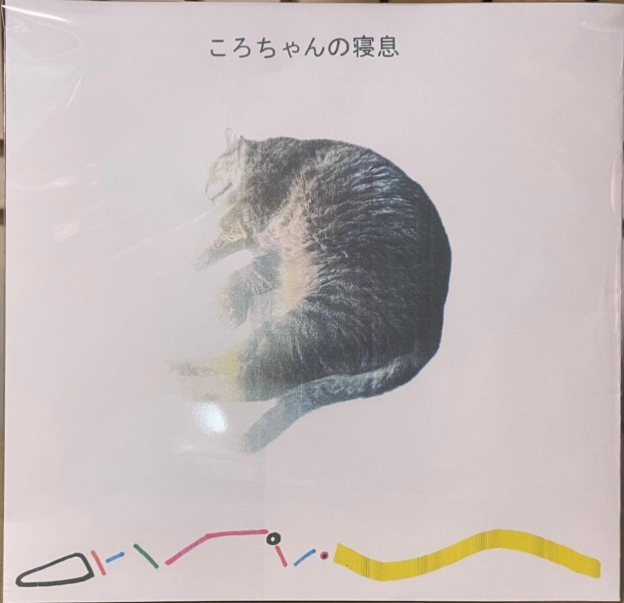 NICE VIEW″崖っぷちGIG!!″(LP) | catnoise