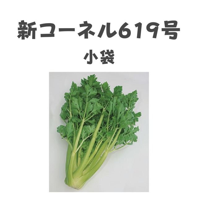 新コーネル619号　セロリ種子・GF小袋