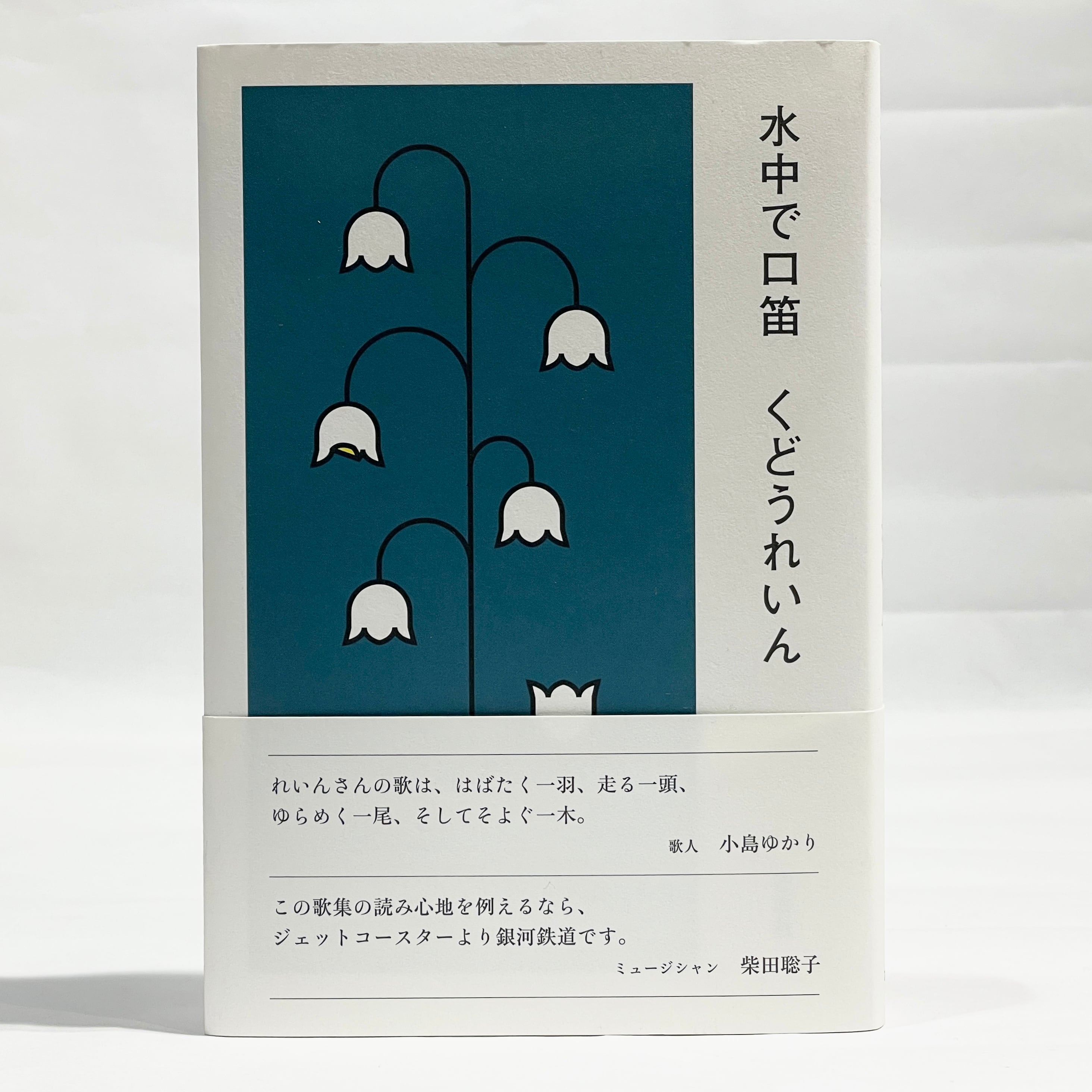 水中で口笛 &frasl; くどうれいん新本