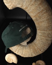 東京サイエンス x WV / Navajo Fossil Cap - Green