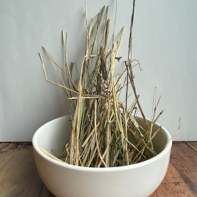 2025年刈取り　セカンドフラッシュ　お試しサイズ　カナダ産（ドライランドエリア）チモシー   100g　【送料無料】