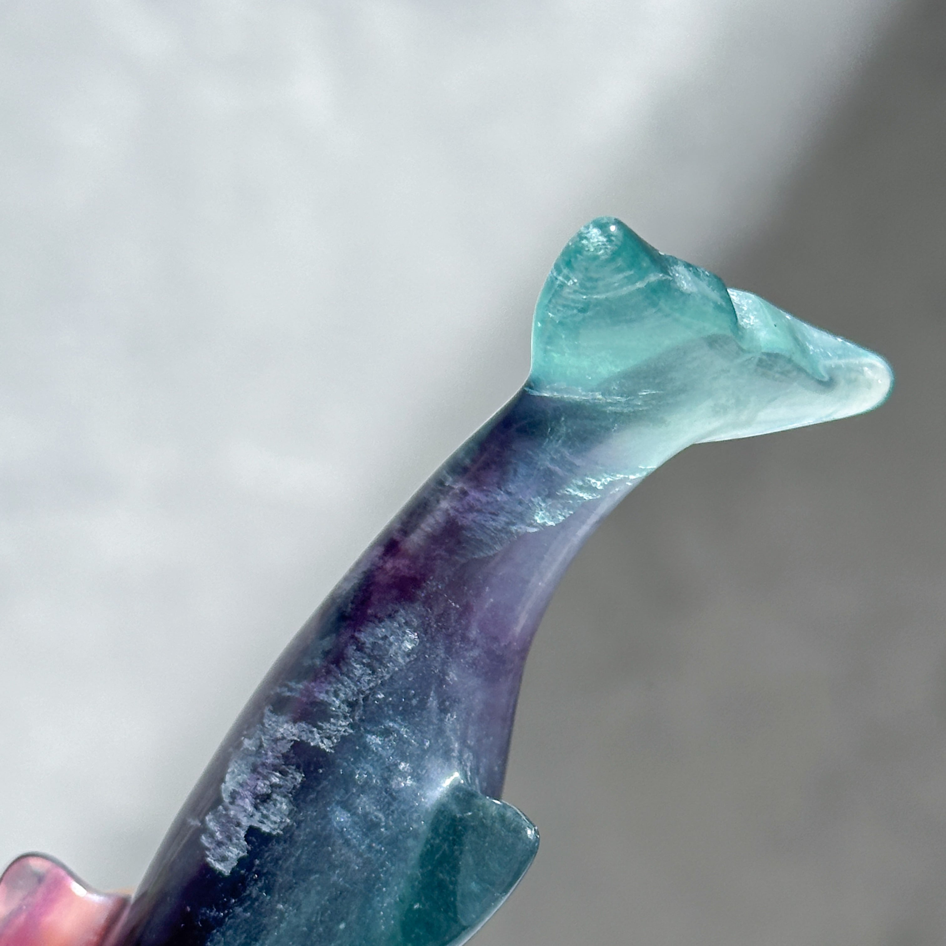 レインボーフローライト イルカ31◇Fluorite◇天然石・パワーストーン
