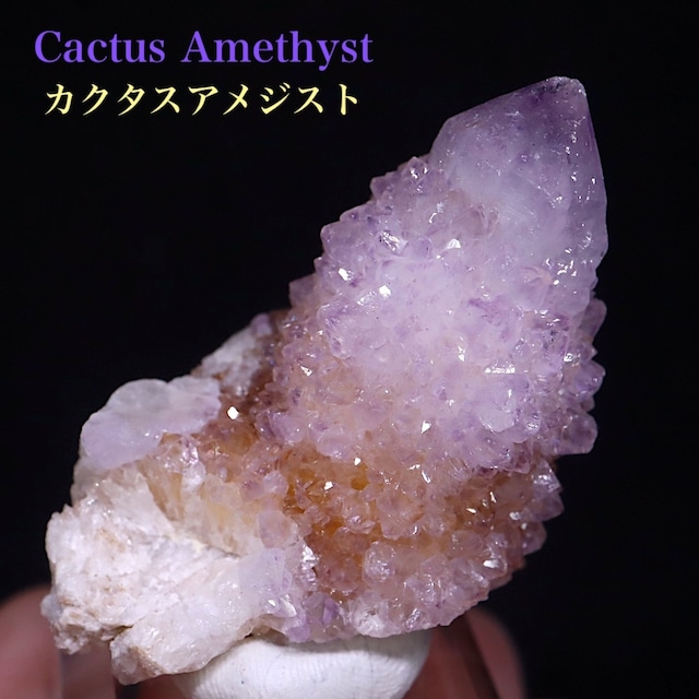 カクタス アメジスト クリスタル 24.7g AMT267 鉱物 天然石 原石 パワーストーン