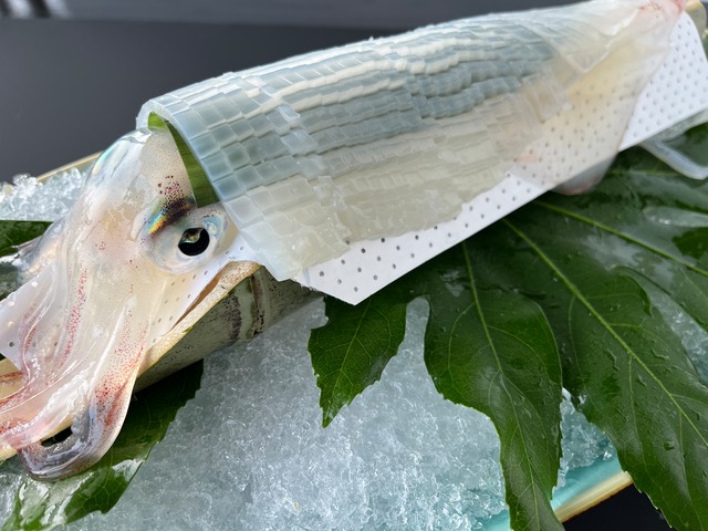 希少特大いか!！活き造り1杯（簡易包装）