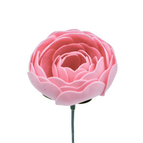 ラナンキュラスN-P4 薄ピンク (15輪入りor25輪入り)