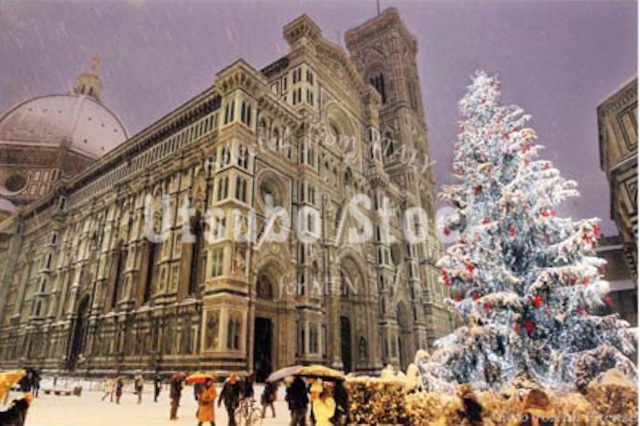 2010年撮影　イタリア　サンタマリアデルフィオーレ大聖堂　クリスマスツリー　雪景色【221201001】