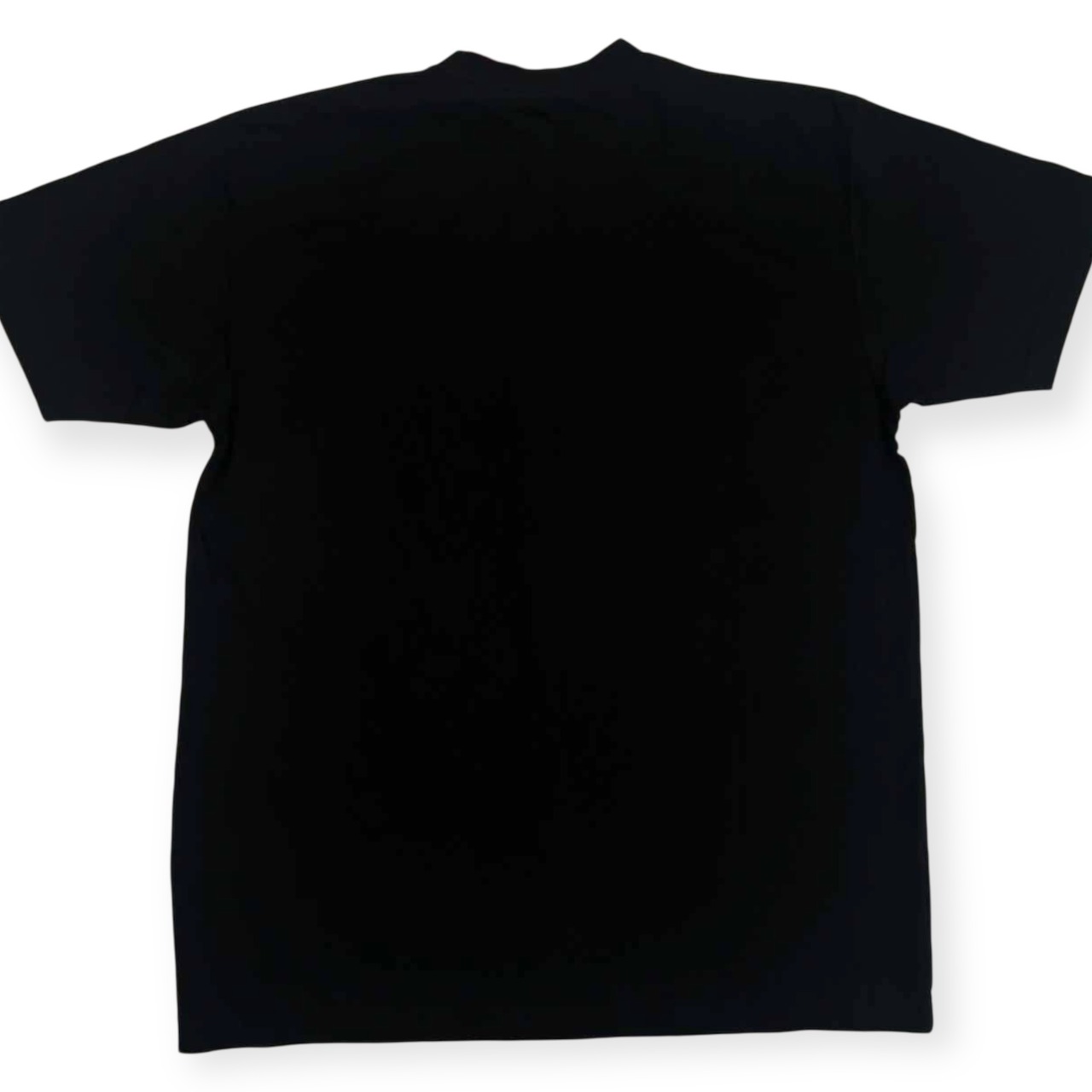 新品 タグ付き HELLY HANSEN ヘリーハンセン デザイン 半袖 Tシャツ M/ブラック メンズ