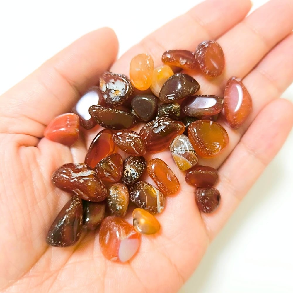 カーネリアン (30g) 中~大粒タイプ 紅玉髄 天然石さざれ石 穴無しチップ