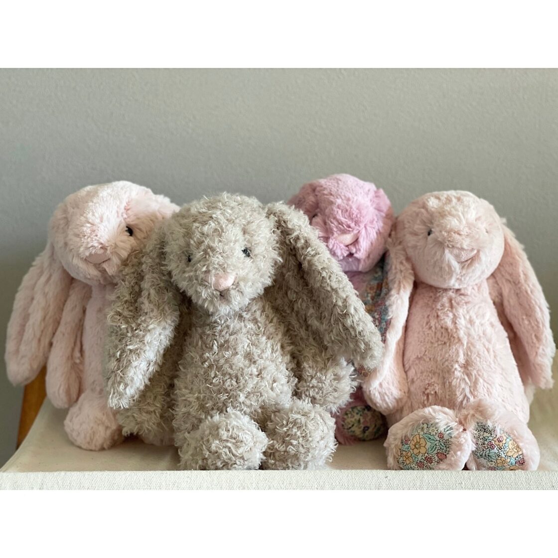 Jelly cat / ジェリーキャット Bashful Curlie Bunny Medium 