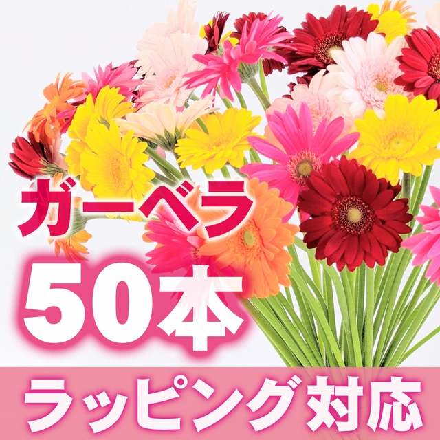 《ラッピング》ガーベラ 50本【ビタミン・フラワー】★フラワーロス支援