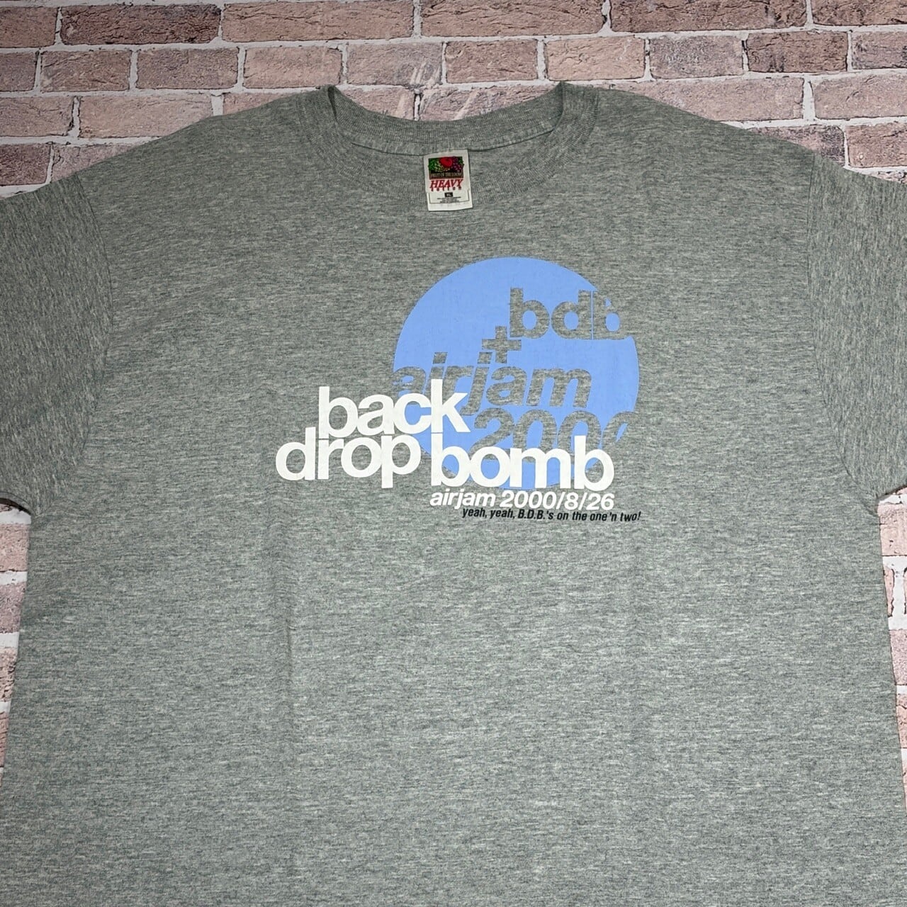 2000s BACK DROP BOMB T-SHIRT GRAY | safarionline
