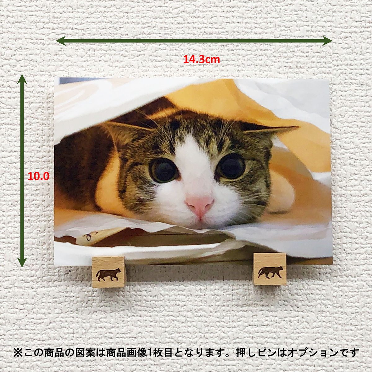 猫 ポストカード The Cat who....達磨猫 必勝のハガキ イラスト 10x14