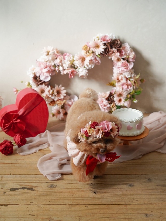 〈レンタル〉HEART