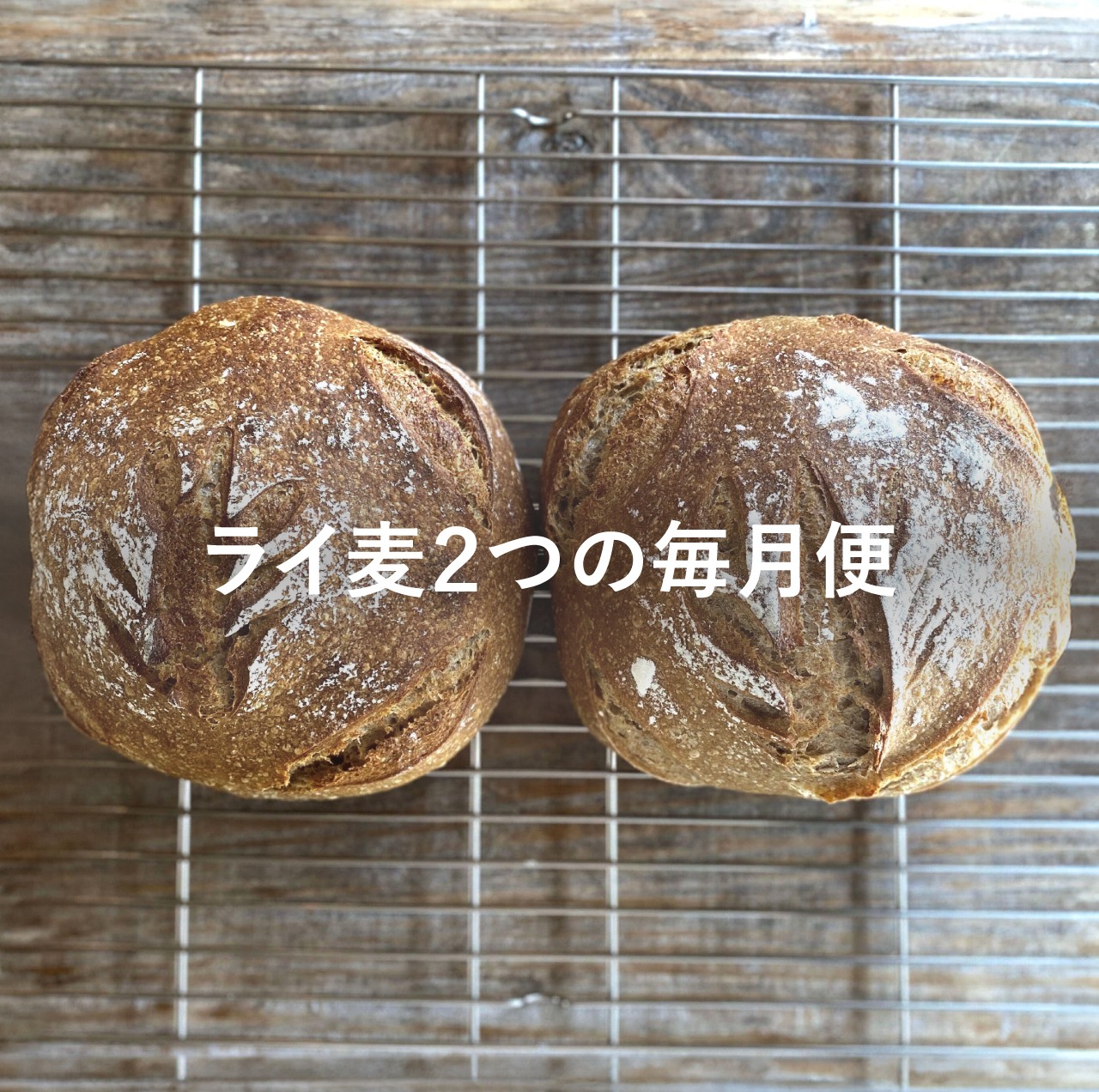 【毎月便】ライ麦2つ サワードウブレッド 天然酵母 ハード系【水曜・日曜発送】【Bakery】