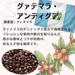 グァテマラ・アンティグア (グァテマラ)800ｇセット