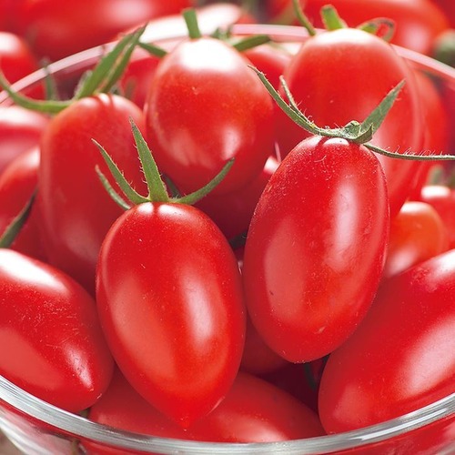 トマト 「アイコ」（小袋） 画像