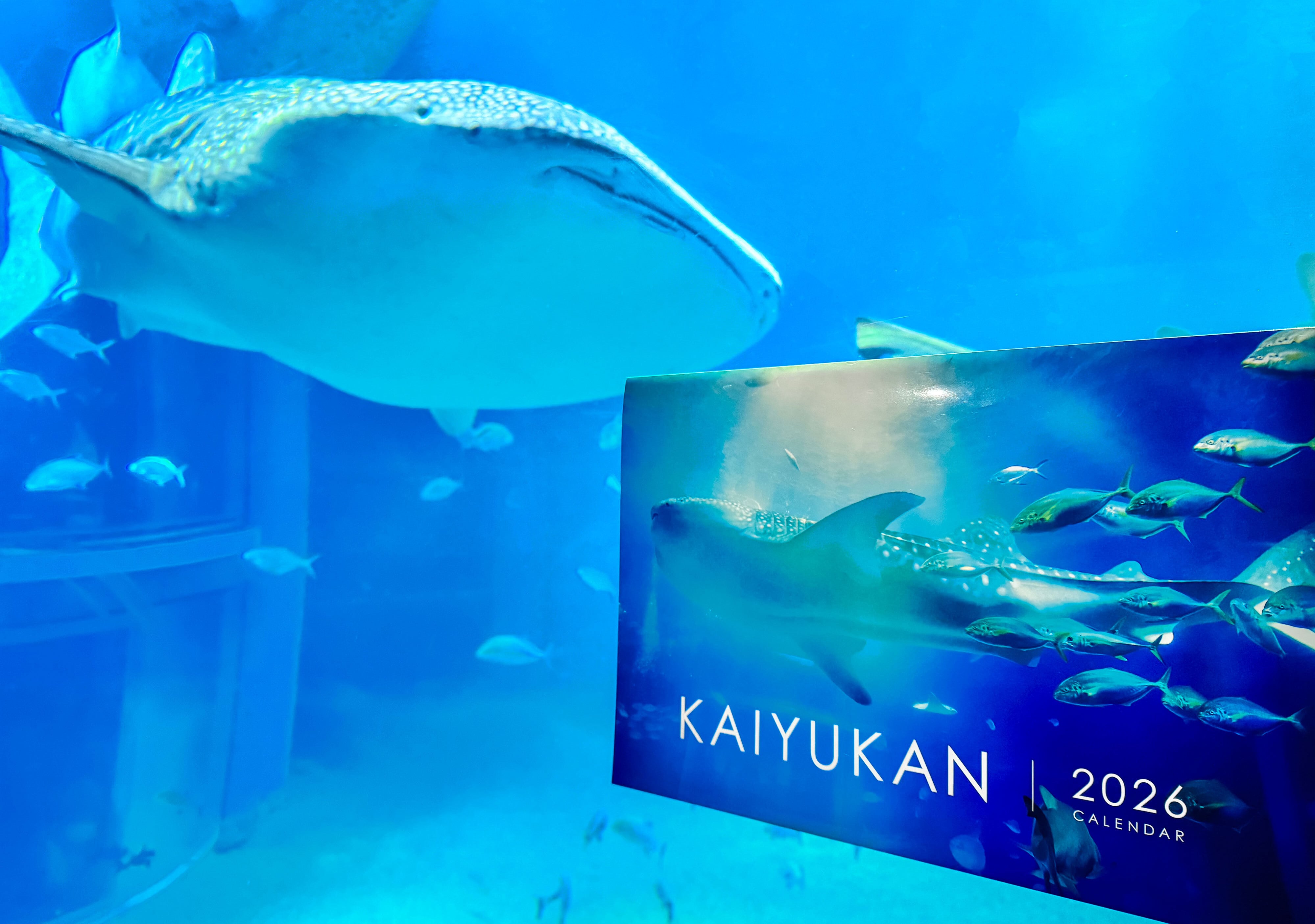 KAIYUKANofficialshop online