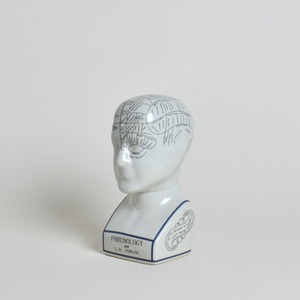 Phrenology Head / フレノロジー ヘッド 【L】〈 模型 / ディスプレイ / オブジェ 〉SB2012-0027